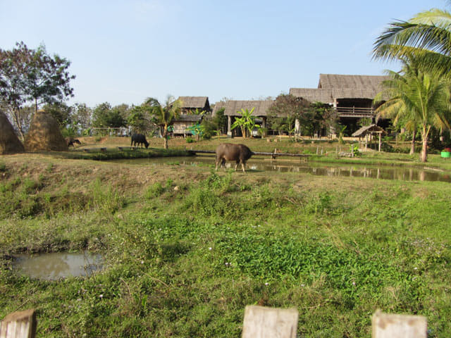 泰國夜沙良 (Mae Sariang / อำเภอแม่สะเรียง) 泰北 Rustic Pathways 兒童之家 (Rustic Pathways: Children's Home) 
