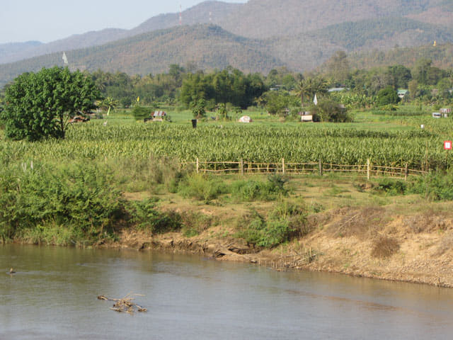 泰國夜沙良 (Mae Sariang / อำเภอแม่สะเรียง) 鄉村景色 Yam River