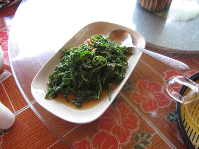 泰國 湄宏順 (Mae Hong Son) 泰緬邊境華人村 - 密窩村 (Ban Rak Thai / Mae Aw) 密窩村湖邊餐廳午餐