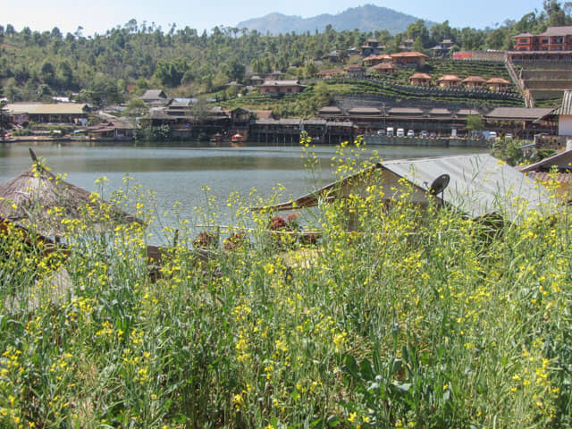 泰國 湄宏順 (Mae Hong Son) 泰緬邊境華人村 - 密窩村 (Ban Rak Thai / Mae Aw)