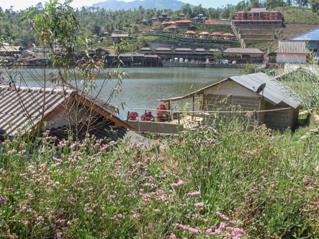 泰國 湄宏順 (Mae Hong Son) 泰緬邊境華人村 - 密窩村 (Ban Rak Thai / Mae Aw)