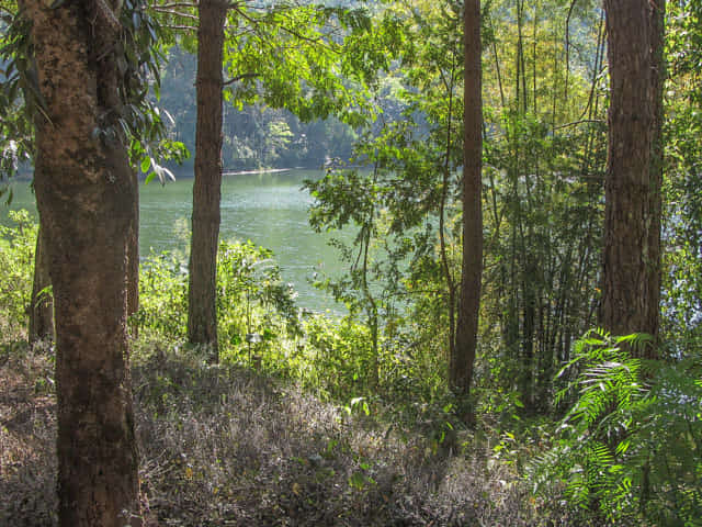 泰國 湄宏順 (Mae Hong Son) 泰緬邊境 - Pang Oung (ปางอุ๋ง) 湖