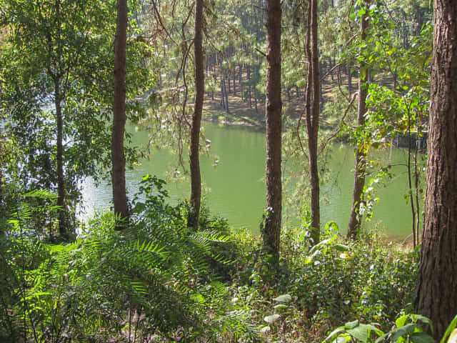 泰國 湄宏順 (Mae Hong Son) 泰緬邊境 - Pang Oung (ปางอุ๋ง) 湖