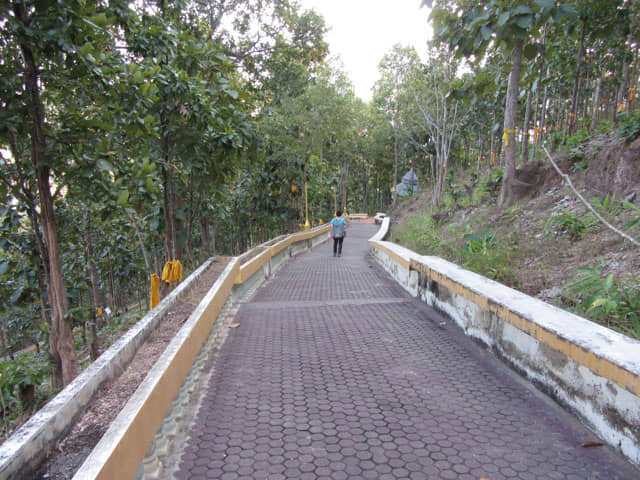 泰國 湄宏順 (Mae Hong Son) Wat Phra That Doi Kong Mu寺廟 登山路