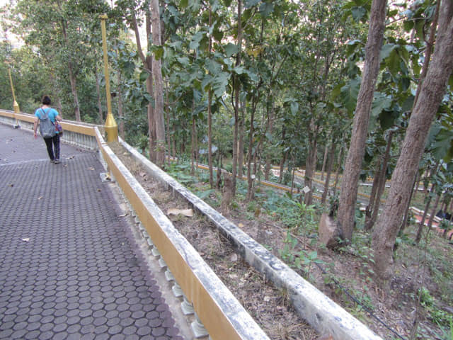 泰國 湄宏順 (Mae Hong Son) Wat Phra That Doi Kong Mu寺廟 登山路