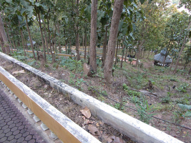 泰國 湄宏順 (Mae Hong Son) Wat Phra That Doi Kong Mu寺廟 登山路