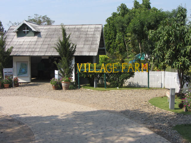 泰國 拜縣 (Pai) Village Farm