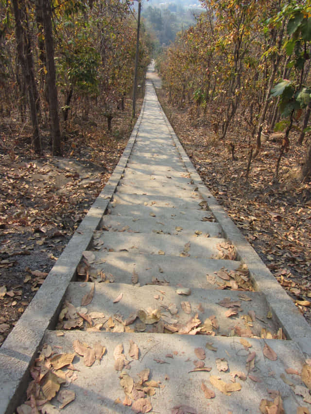 泰國 拜縣 (Pai) 白佛美茵寺 (Chedi Phra That Mae Yen) 長長登山石階