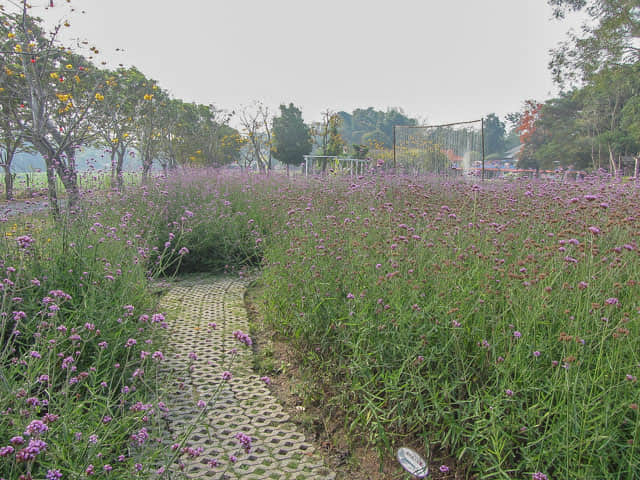 泰國 拜縣 (Pai) Baan Kung Kang De Pai 風車酒店 歐陸式風格花園