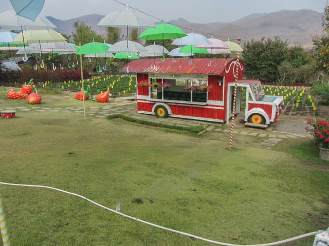 泰國 拜縣 (Pai) 拜縣草莓園 (Love Strawberry Pai)