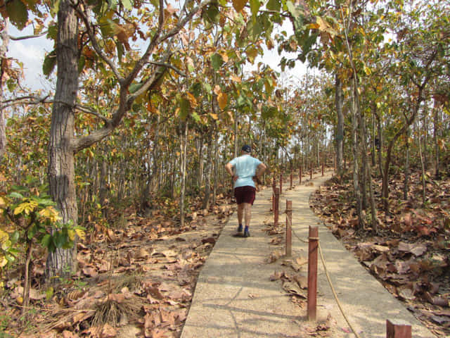 泰國 拜縣 (Pai) 拜縣峽谷 (Pai Canyon) 登山路