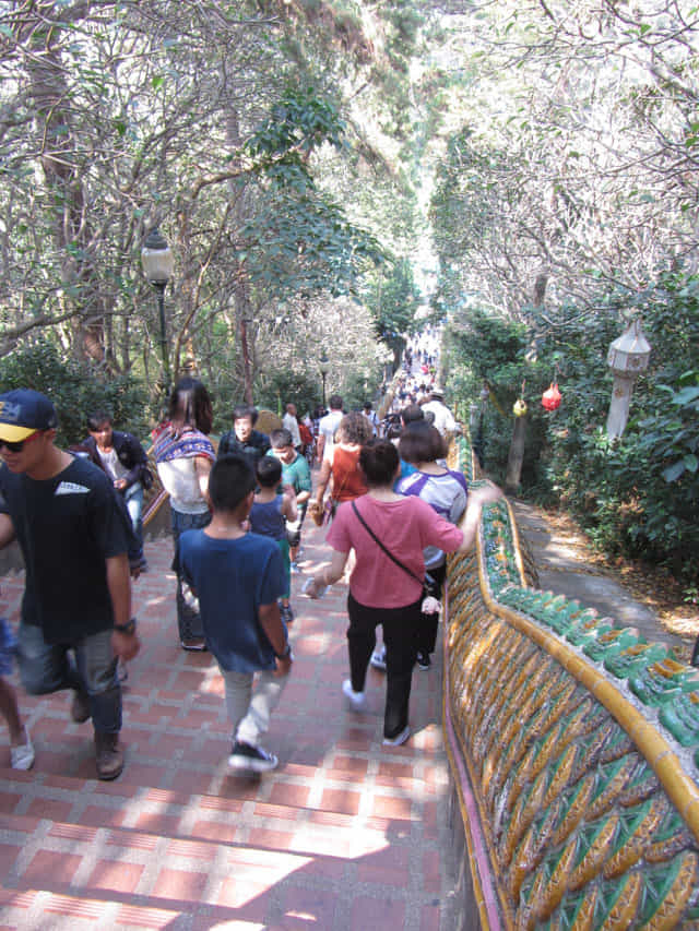 泰國 清邁 素帖寺 (Wat Phra That Doi Suthep) 登山石階
