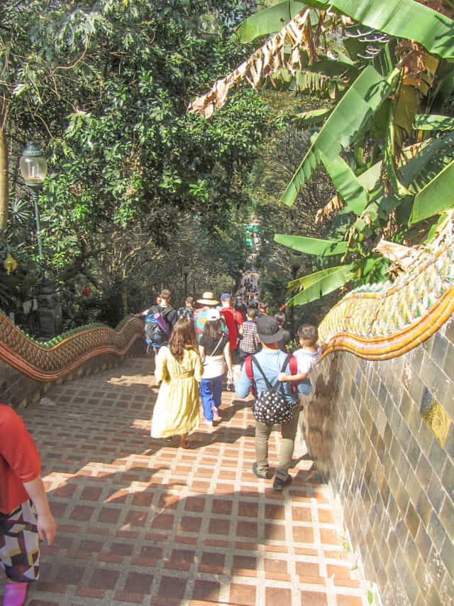 泰國 清邁 素帖寺 (Wat Phra That Doi Suthep) 登山石階
