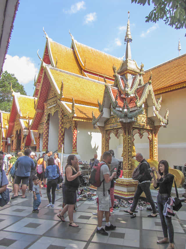泰國 清邁 素帖寺 (Wat Phra That Doi Suthep)