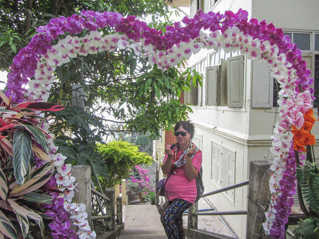 泰國 清邁 素帖寺 (Wat Phra That Doi Suthep)