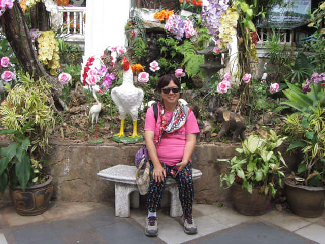 泰國 清邁 素帖寺 (Wat Phra That Doi Suthep)