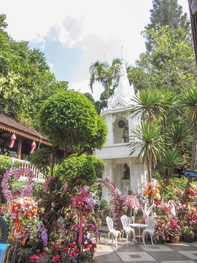 泰國 清邁 素帖寺 (Wat Phra That Doi Suthep)