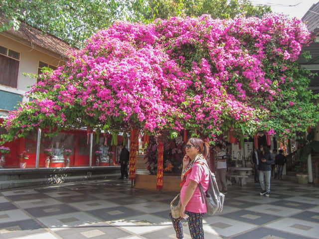泰國 清邁 素帖寺 (Wat Phra That Doi Suthep)