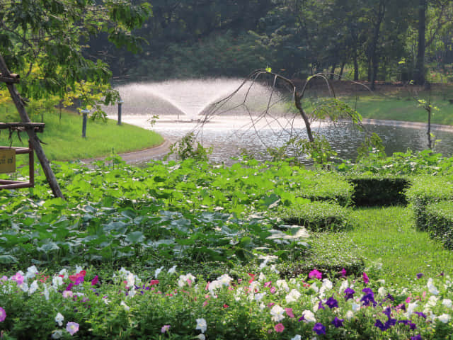 曼谷詩麗吉王后公園 (Queen Sirikit Park)
