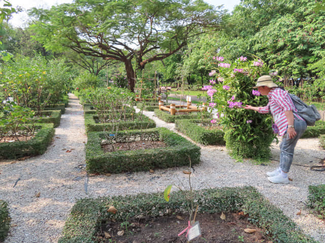 曼谷詩麗吉王后公園 (Queen Sirikit Park)