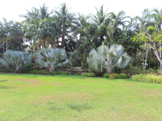 曼谷詩麗吉王后公園 (Queen Sirikit Park)