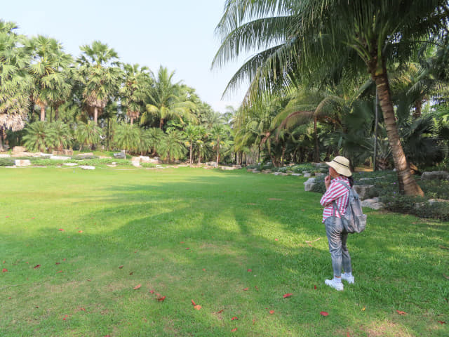 曼谷詩麗吉王后公園 (Queen Sirikit Park)