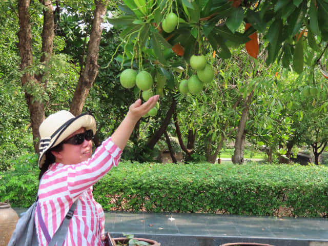 曼谷詩麗吉王后公園 (Queen Sirikit Park)