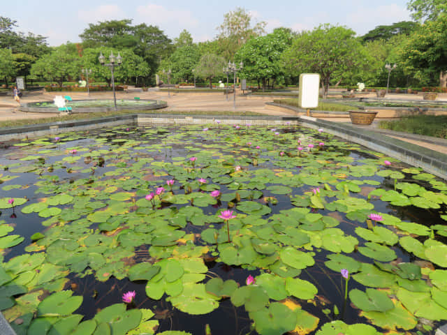 曼谷詩麗吉王后公園 (Queen Sirikit Park)