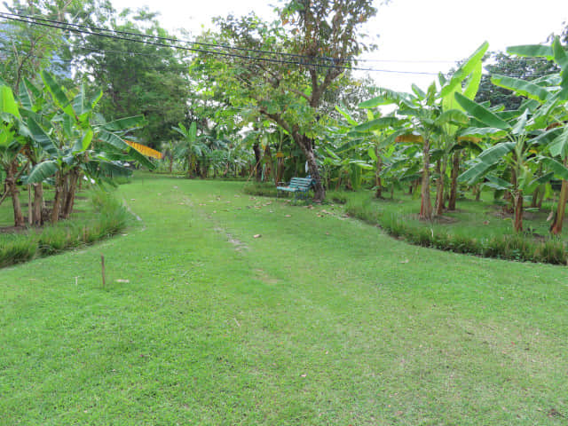 曼谷詩麗吉王后公園 (Queen Sirikit Park)