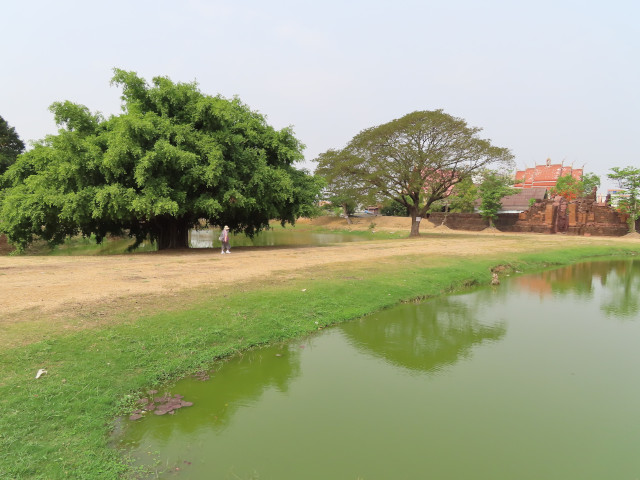 碧邁南門 Pratu Chai Ancient Gate