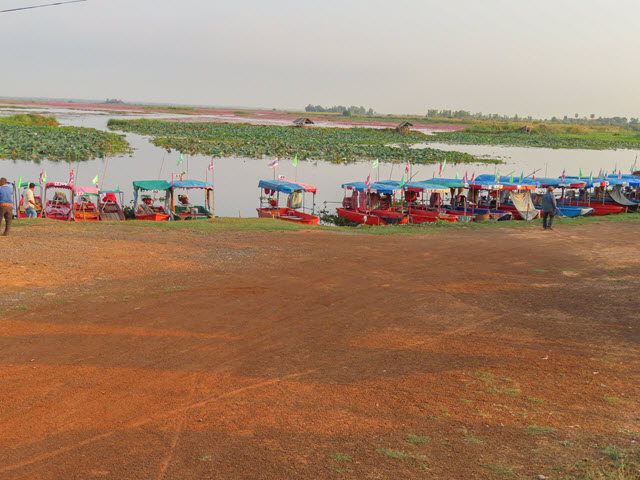 烏隆府紅蓮花海碼頭