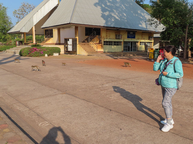 烏隆 Kumphawapi 猴子自然公園 (Monkey Nature Park)