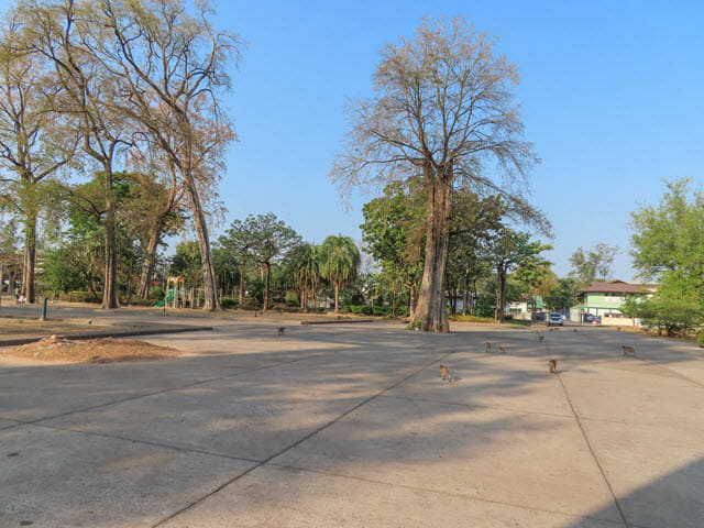 烏隆 Kumphawapi 猴子自然公園 (Monkey Nature Park)