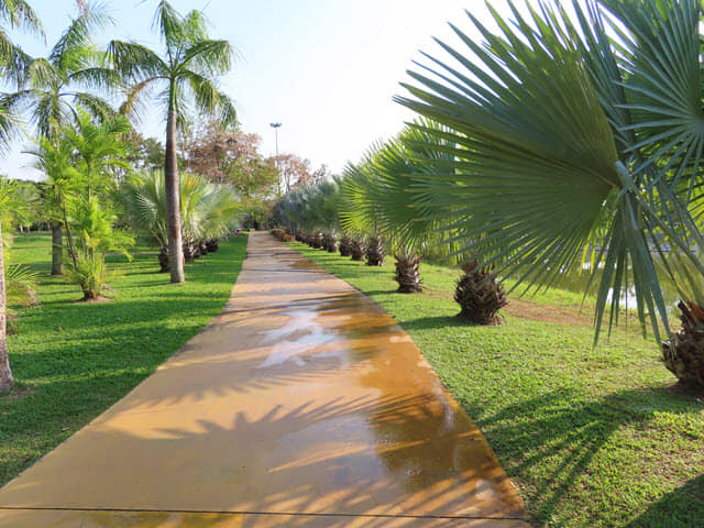 烏隆市 Nong Prajak Park