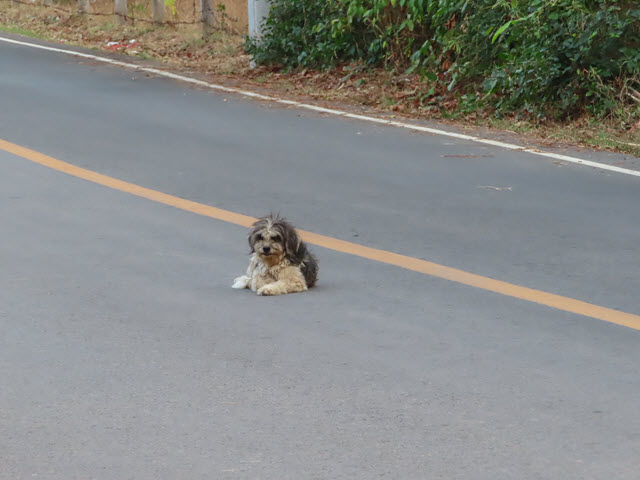 那空拍儂 Nakhon Phanom 湄公河畔馬路