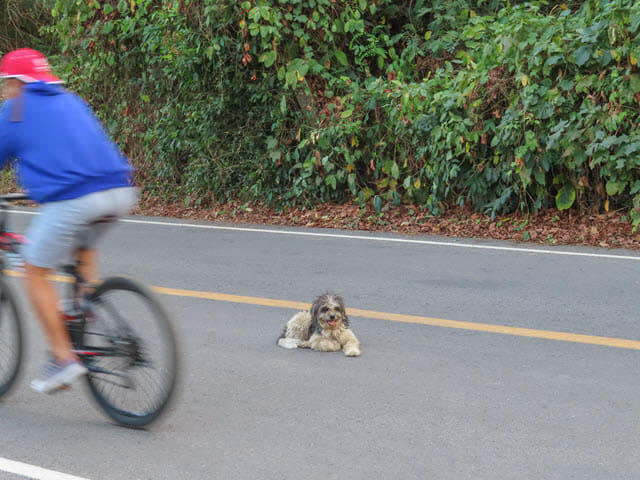 那空拍儂 Nakhon Phanom 湄公河畔馬路
