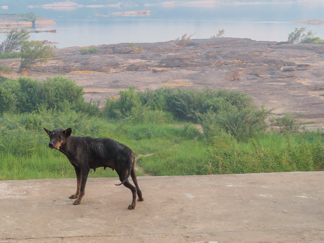 Khong Chiam 湄公河 Khong Chiam Rim Khong Public Park 早上景色