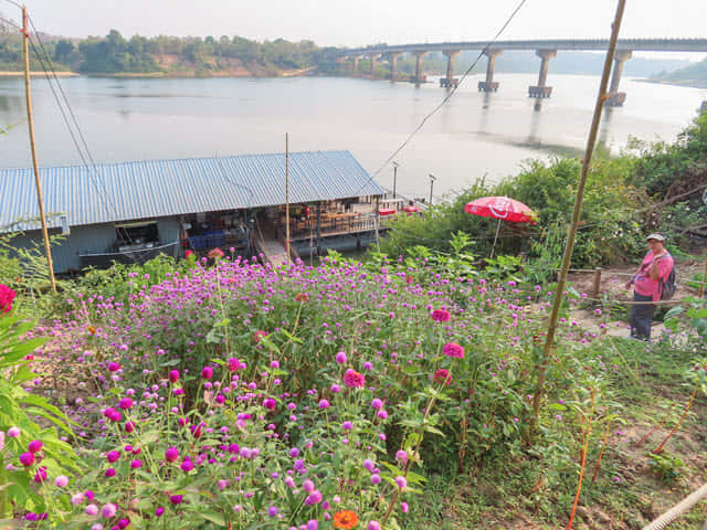 Khong Chiam 月河上 แพลำโขง 船屋餐廳