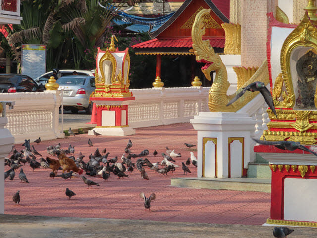烏汶市 Ubon Ratchathani Wat Maha Wanaram