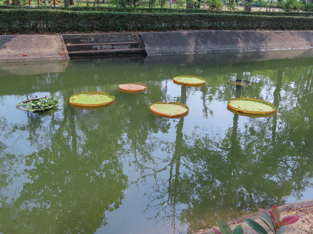 烏汶 Ubon Ratchathani Thung Si Muang Park 公園