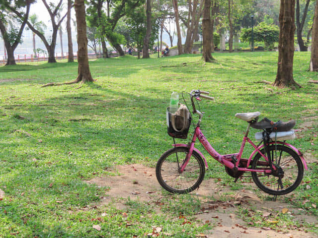 曼谷 班嘉奇蒂公園 Benjakitti Park